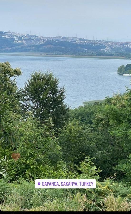 Sapanca Manzara Villa 1 Isitma Havuzlu Exterior foto